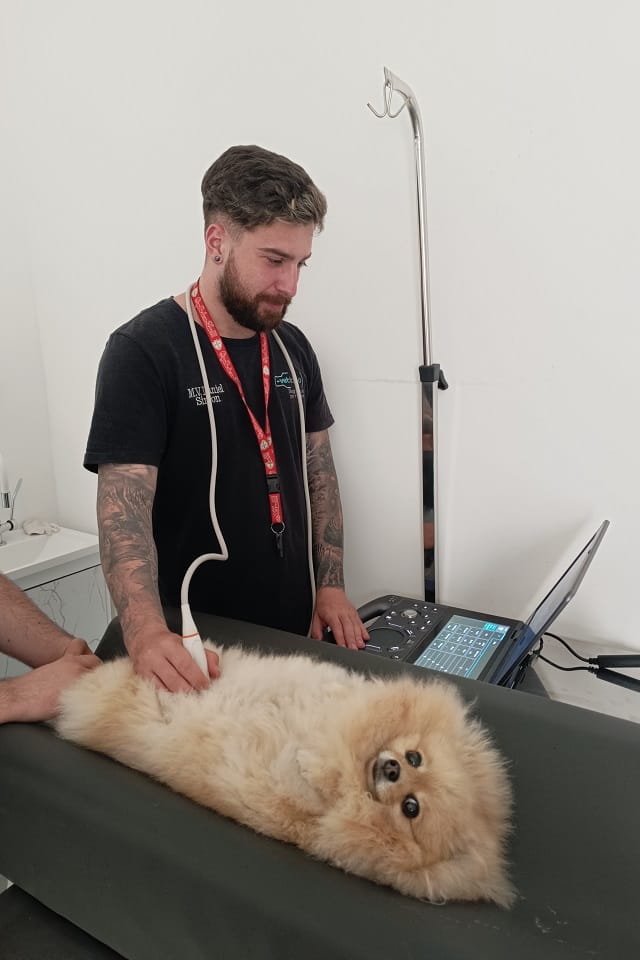 Ultrassom volante em clínica